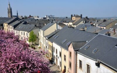 Compte rendu du conseil communal – 19 mars 2026 – par Raphaël Gigi